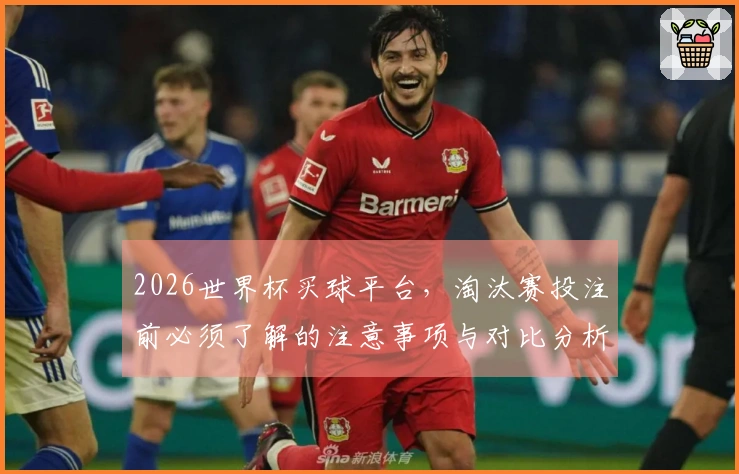 2026世界杯买球平台，淘汰赛投注前必须了解的注意事项与对比分析
