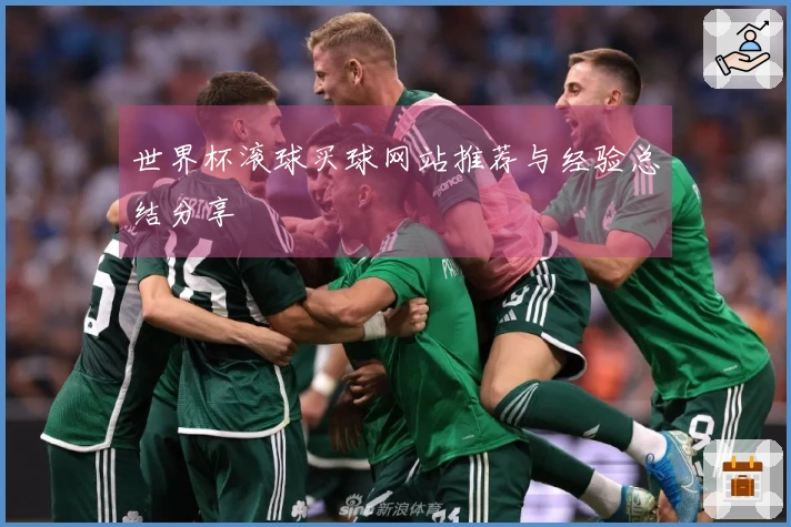 世界杯滚球买球网站推荐与经验总结分享