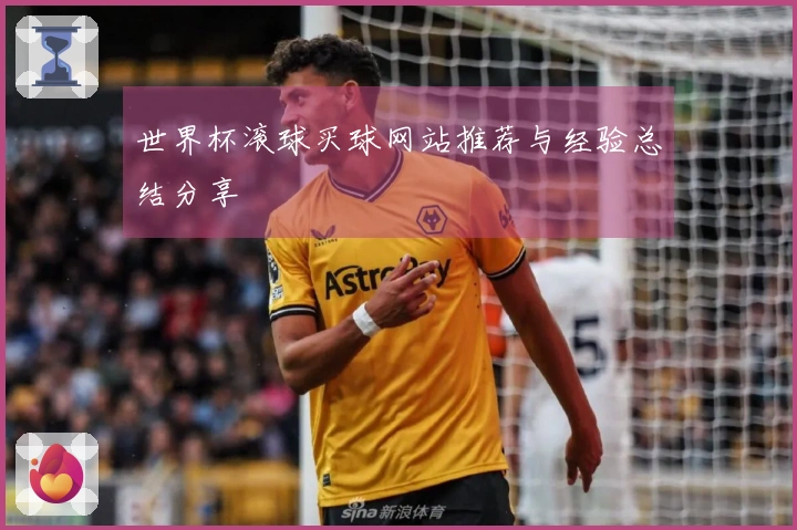 世界杯滚球买球网站推荐与经验总结分享