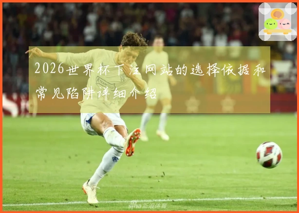 2026世界杯下注网站的选择依据和常见陷阱详细介绍