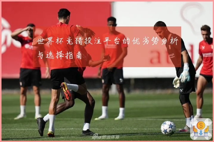 世界杯竞猜投注平台的优劣势分析与选择指南