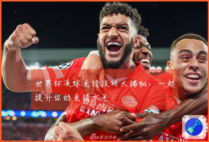 世界杯滚球竞猜技巧大揭秘，一起提升你的竞猜水平